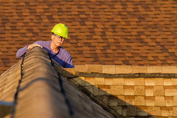 Roof Gutter Cleaning in River Oaks, TX